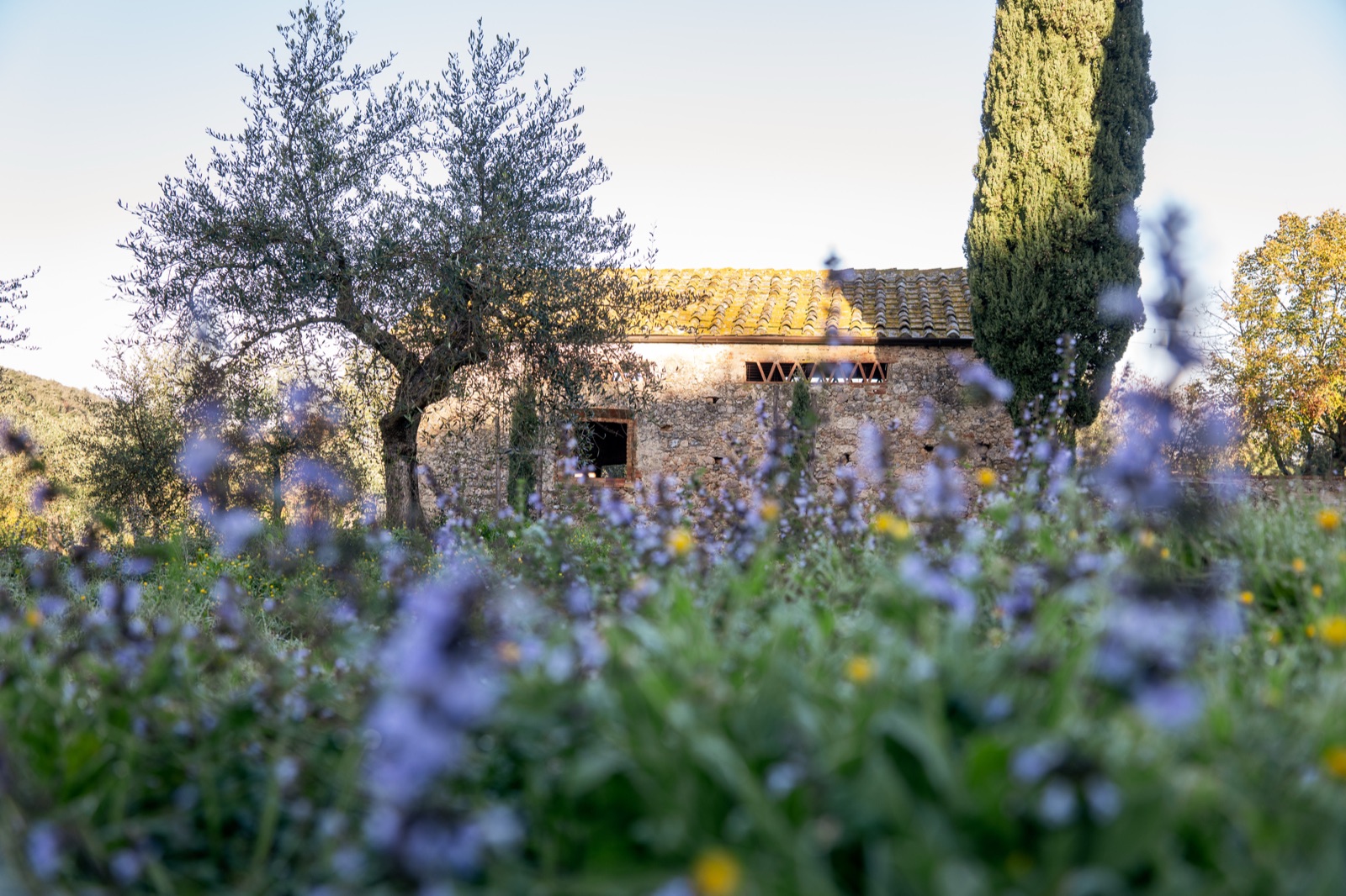 Rustic stone cottage with wildflowers and cypress