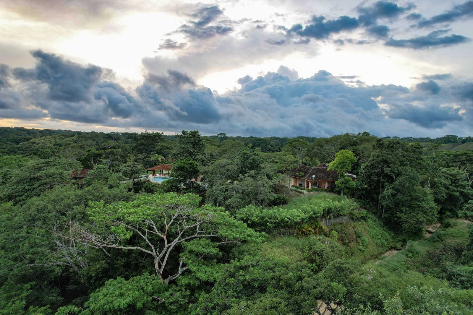 Aerial estate among green canopy with dramatic clouds