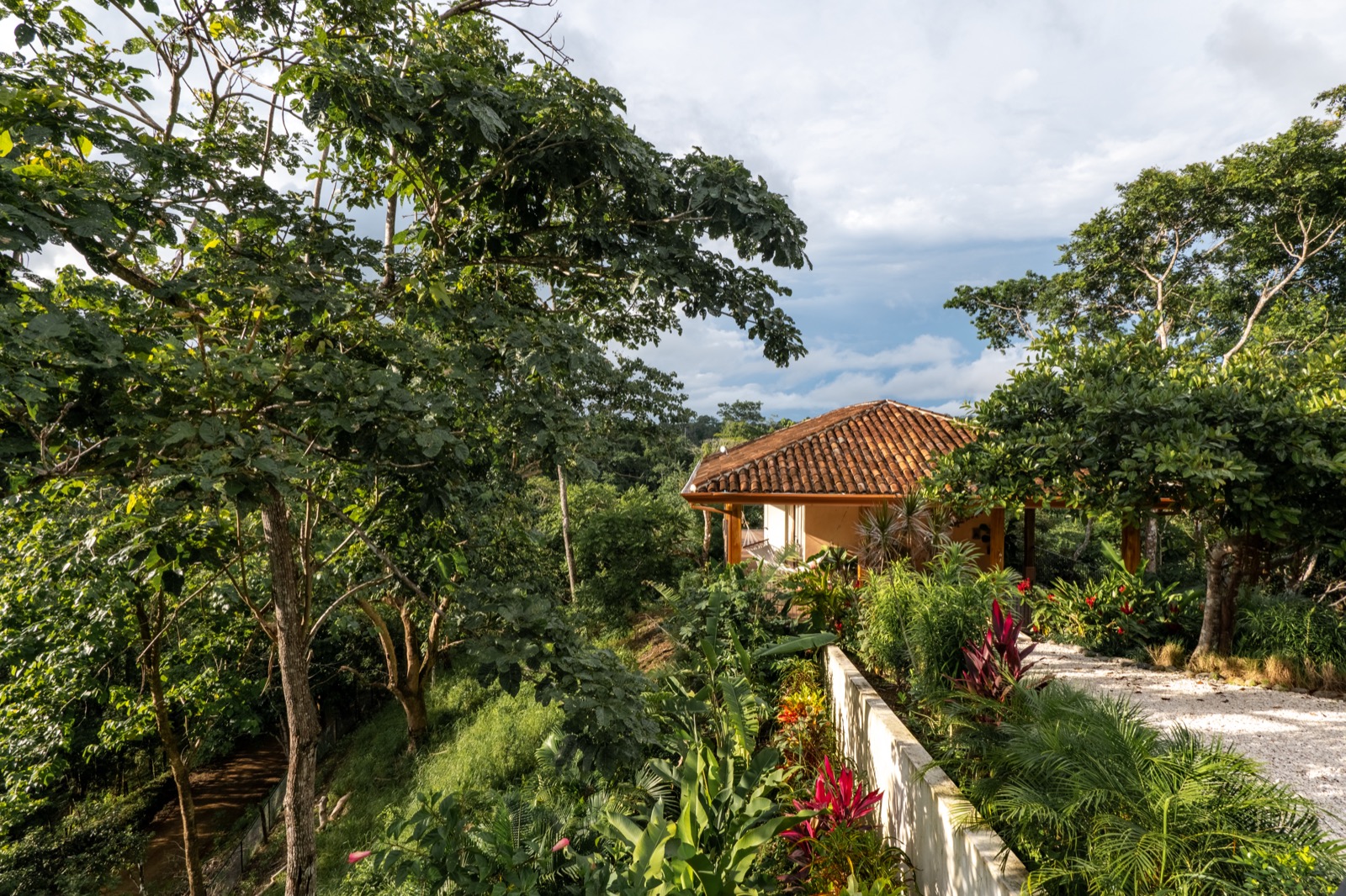 White Mediterranean building with purple bougainvillea